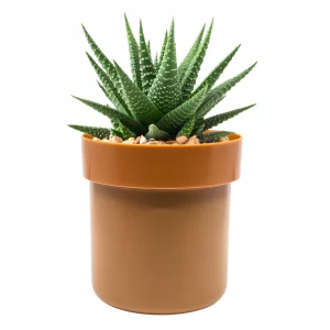 Secret Safe™ Flower Pot With Key Lock